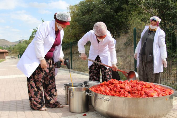 Mamak'ta organik üretime kadın eli değdi - Ankara 6