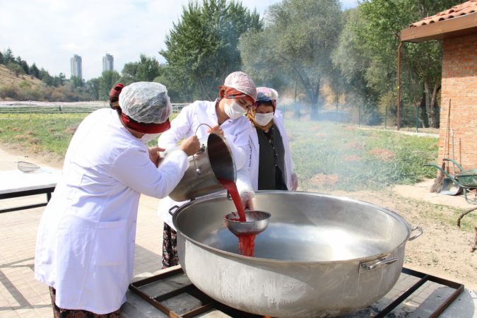 Mamak'ta organik üretime kadın eli değdi - Ankara 7