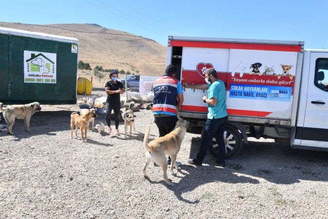 Ankara Büyükşehir can dostlara destek olmaya devam ediyor 13