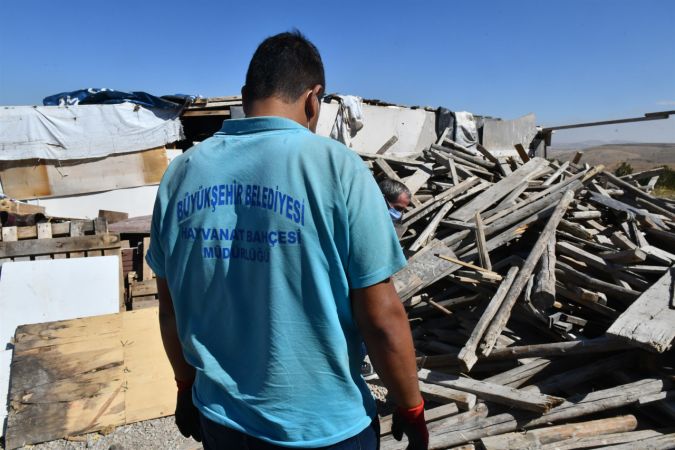 Ankara Büyükşehir can dostlara destek olmaya devam ediyor 3