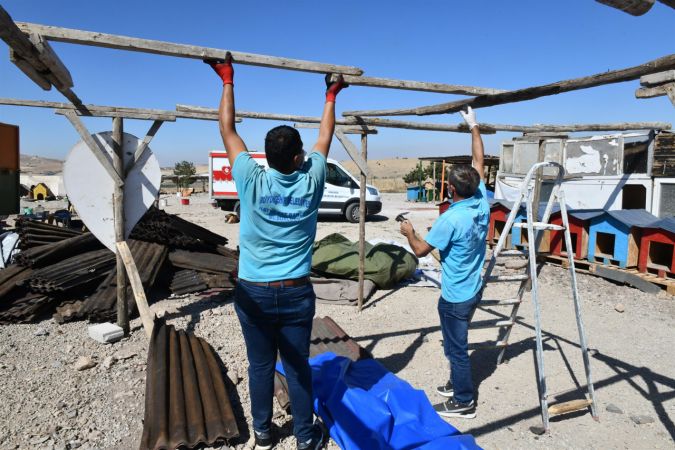 Ankara Büyükşehir can dostlara destek olmaya devam ediyor 4