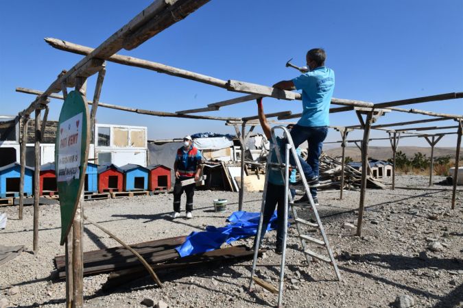 Ankara Büyükşehir can dostlara destek olmaya devam ediyor 5