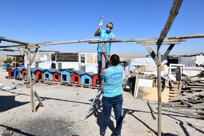 Ankara Büyükşehir can dostlara destek olmaya devam ediyor 6