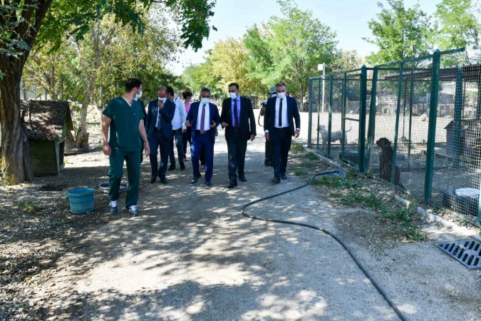 Ankara Büyükşehir Belediyesi hayvanseverlerle iş birliğini sürdürüyor 13