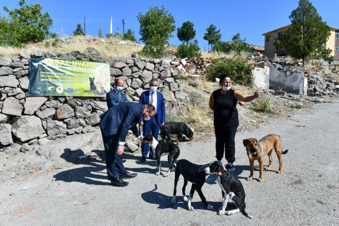 Ankara Büyükşehir Belediyesi hayvanseverlerle iş birliğini sürdürüyor 6