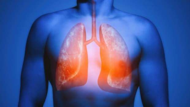 Akciğer Kendini Yeniler mi? Hangi Organ Kendini Ne Kadar Sürede Yeniliyor? 3