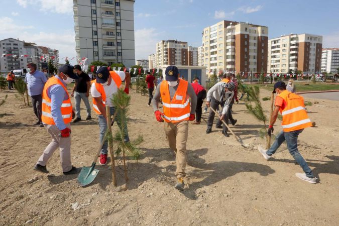 Yenimahalle’den belediye çalışanları için hatıra ormanı! - Ankara 6