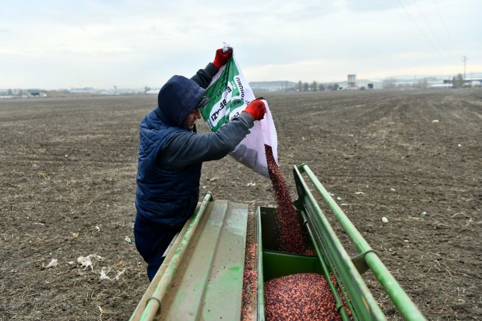Ankara Büyükşehir Çiftçilerin Yanında: 25 İlçede Tohum Desteği 3
