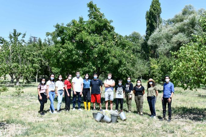 Hayırsever vatandaş, bahçesindeki meyveleri Ankara Büyükşehir Belediyesine bağışladı 1