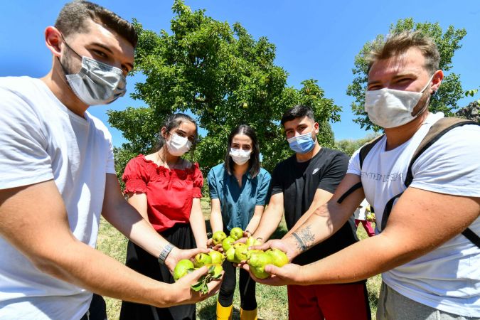 Hayırsever vatandaş, bahçesindeki meyveleri Ankara Büyükşehir Belediyesine bağışladı 8