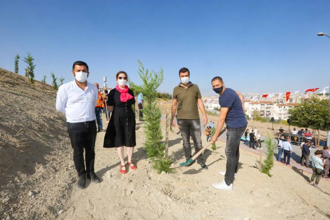 Yenimahalle’de 300 ağaç toprakla buluştu - Ankara 5