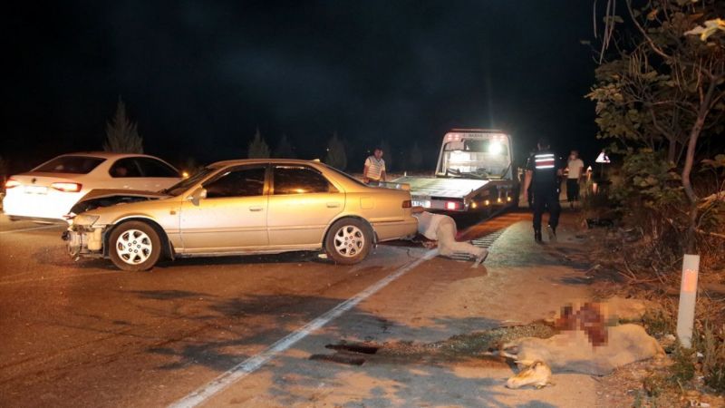Manisa'da korkunç kaza: 7 kişi yaralandı, 15 koyun telef oldu 5