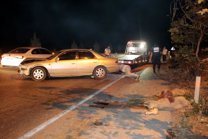 Manisa'da korkunç kaza: 7 kişi yaralandı, 15 koyun telef oldu 1