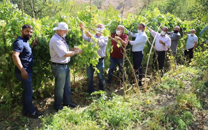 Ankara Kulübü Derneği Seymenleri yöresel tarım ürünlerinin izini sürmeye devam ediyor 1