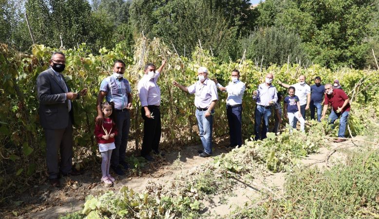Ankara Kulübü Derneği Seymenleri yöresel tarım ürünlerinin izini sürmeye devam ediyor 3