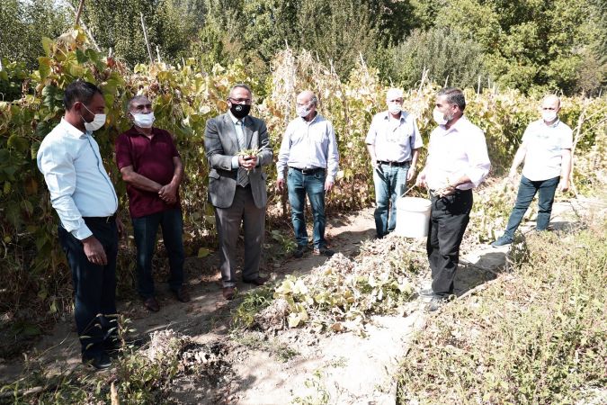 Ankara Kulübü Derneği Seymenleri yöresel tarım ürünlerinin izini sürmeye devam ediyor 8