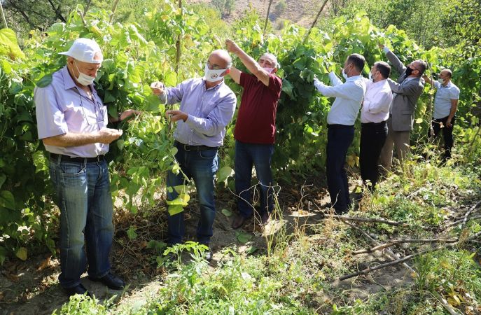 Ankara Kulübü Derneği Seymenleri yöresel tarım ürünlerinin izini sürmeye devam ediyor 5