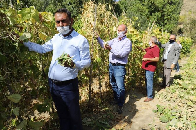Ankara Kulübü Derneği Seymenleri yöresel tarım ürünlerinin izini sürmeye devam ediyor 6