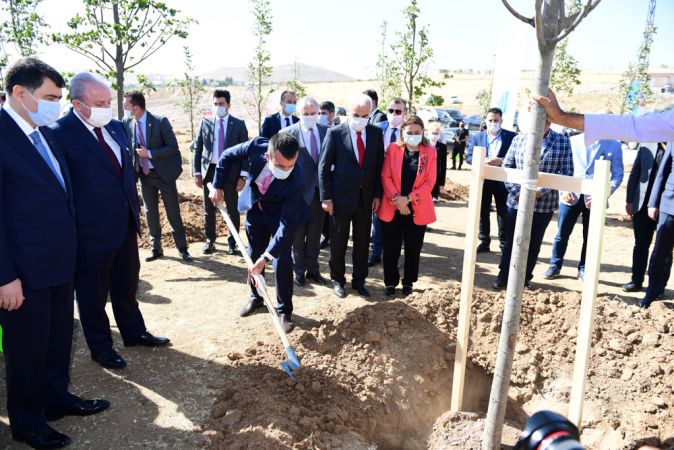 Ankara'nın Başkent Oluşunun 97'nci Yılında Altındağ'da Ihlamur Ormanı Oluşturuldu 9