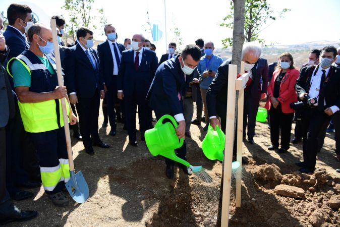 Ankara'nın Başkent Oluşunun 97'nci Yılında Altındağ'da Ihlamur Ormanı Oluşturuldu 10