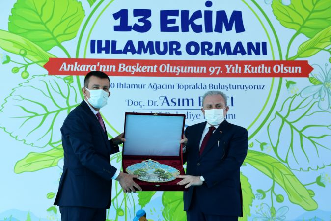 Ankara'nın Başkent Oluşunun 97'nci Yılında Altındağ'da Ihlamur Ormanı Oluşturuldu 5