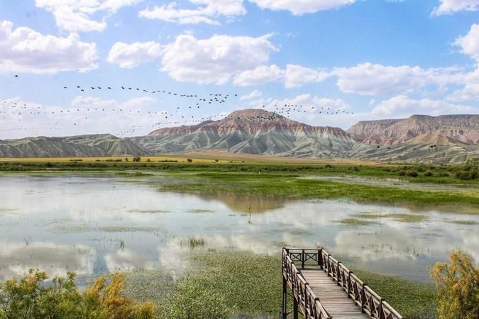 Ankara’da Kuşların Yaşadığı Milli Park! Nallıhan Kuş Cenneti Nerede, Nasıl Gidilir? 4