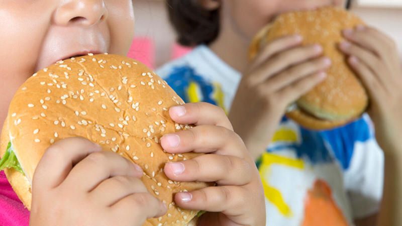 Modern Çağın Sorunu: Çocukluk Çağı Obezitesi 1