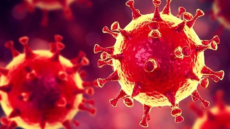 Koronavirüste son durum! Dünya genelinde vaka sayısı ve can kaybı kaç oldu? 22 Ekim 2020 6