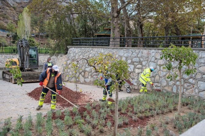 Çubuk-1 Barajı rekreasyon alanı Ankaralıları bekliyor 5