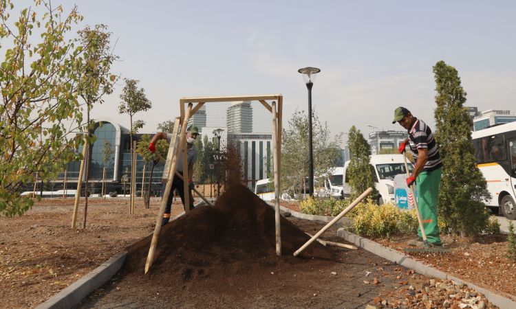 Ankara Çankaya'ya “Martın Sonu Bahar” Parkı 1