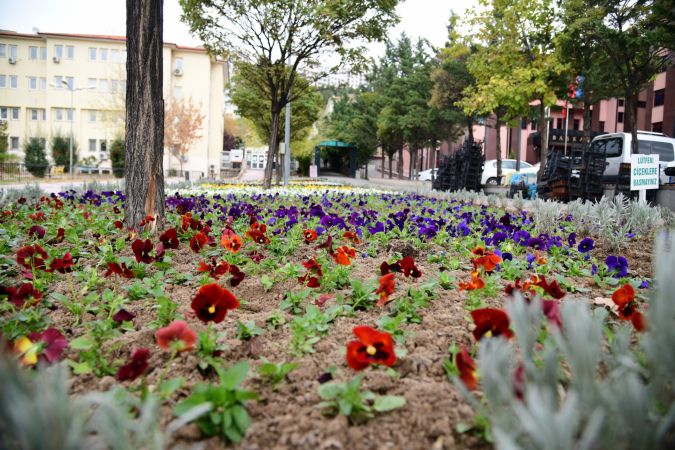 Ankara Mamak'ta kışın da çiçek açıyor 6