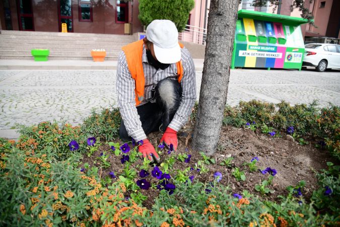 Ankara Mamak'ta kışın da çiçek açıyor 7