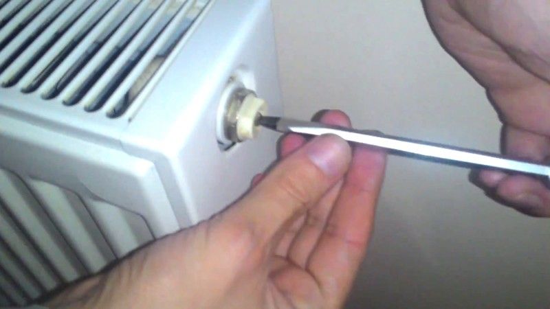 Peteklerin Havası Ne Zaman, Nasıl Alınır? Suyu Nasıl Değiştirilir? 2