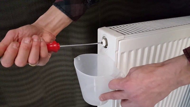 Peteklerin Havası Ne Zaman, Nasıl Alınır? Suyu Nasıl Değiştirilir? 3