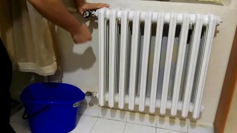 Peteklerin Havası Ne Zaman, Nasıl Alınır? Suyu Nasıl Değiştirilir? 4