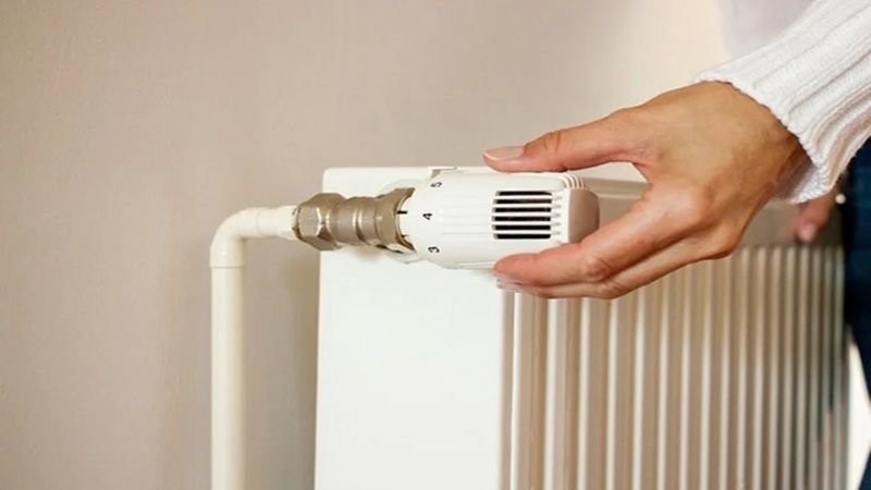 Peteklerin Havası Ne Zaman, Nasıl Alınır? Suyu Nasıl Değiştirilir? 1