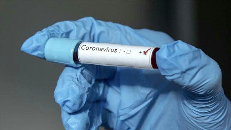 Ankara'da Koronavirüsle İlgili Flaş Gelişme! Bilim İnsanlarından Gelen Açıklama Yakalanan Herkesi Korkuttu! 3