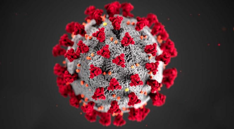 Koronavirüs Sürecinde En Çok Kullanılan Kavramlar Ne Anlama Geliyor? İşte Koronavirüs Sözlüğü ve Anlamları 1