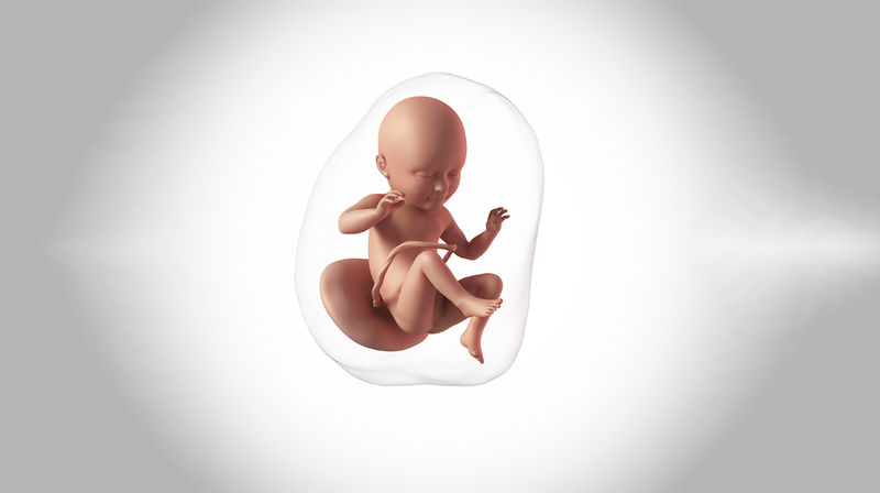Tüp Bebekte Hamilelik Belirtileri Ne Zaman Başlar? 5