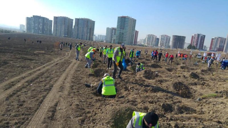 Ankara Sincan Belediyesi 11 Kasım Milli Ağaçlandırma Günü’nde 500 fidanı toprakla buluşturdu 2