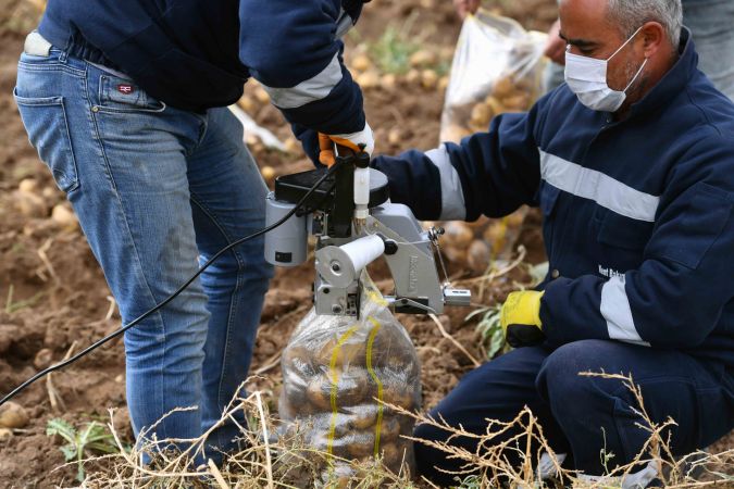 Ankara’nın Kırsal Kalkınma Hamlesi Sürüyor: Gölbaşı Karaoğlan’daki atıl arazide patates hasadı başladı 2