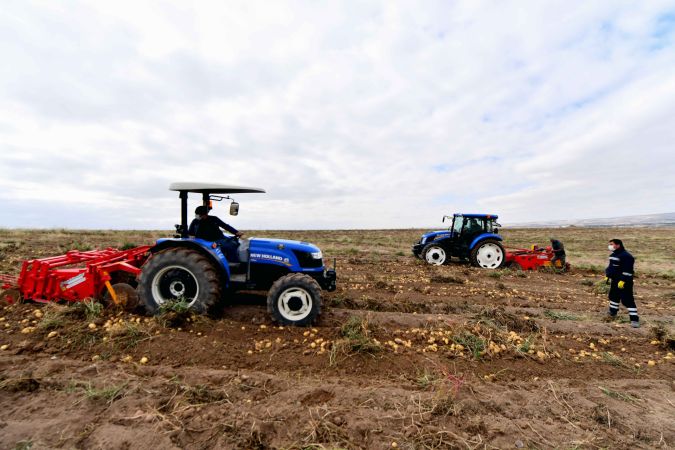 Ankara’nın Kırsal Kalkınma Hamlesi Sürüyor: Gölbaşı Karaoğlan’daki atıl arazide patates hasadı başladı 5