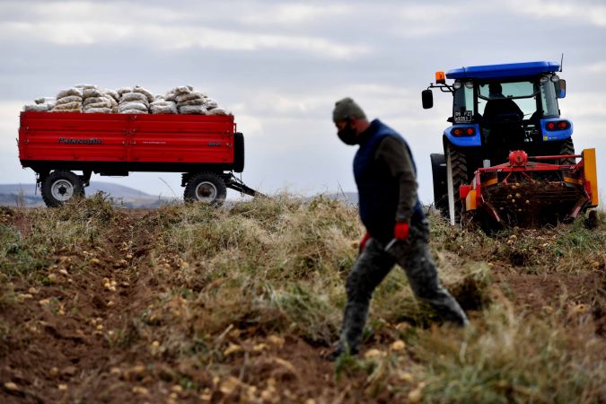 Ankara’nın Kırsal Kalkınma Hamlesi Sürüyor: Gölbaşı Karaoğlan’daki atıl arazide patates hasadı başladı 6