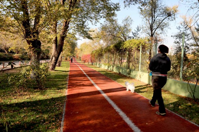 Ankara Çankaya parklarında sonbahar keyfi 9