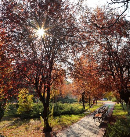 Ankara Çankaya parklarında sonbahar keyfi 5