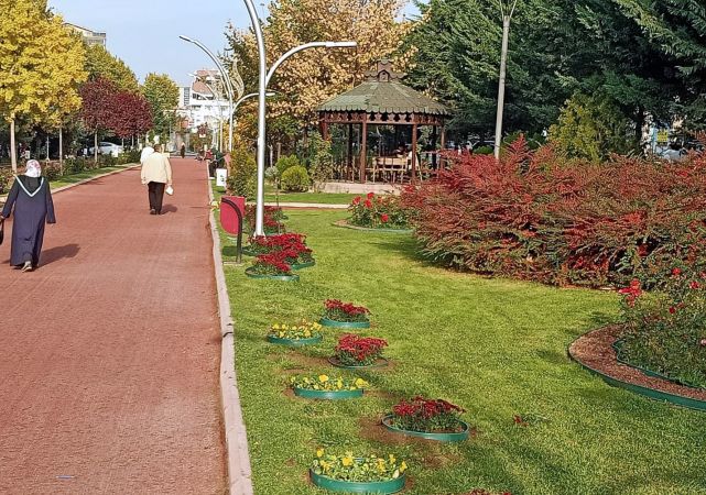 Ankara Keçiören’de parklar kasımpatılarla donatıldı 2