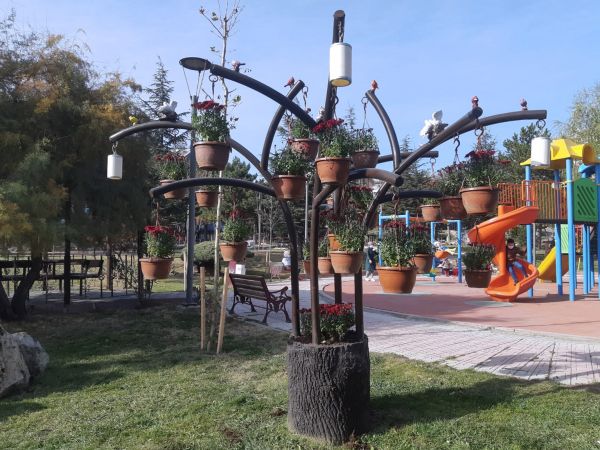 Ankara Keçiören’de parklar kasımpatılarla donatıldı 3