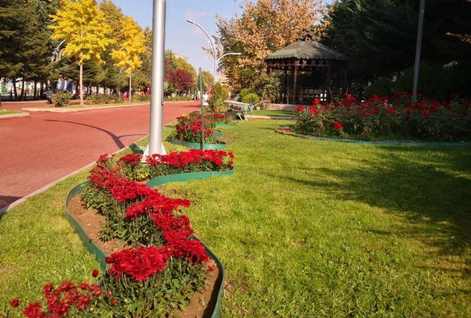 Ankara Keçiören’de parklar kasımpatılarla donatıldı 4