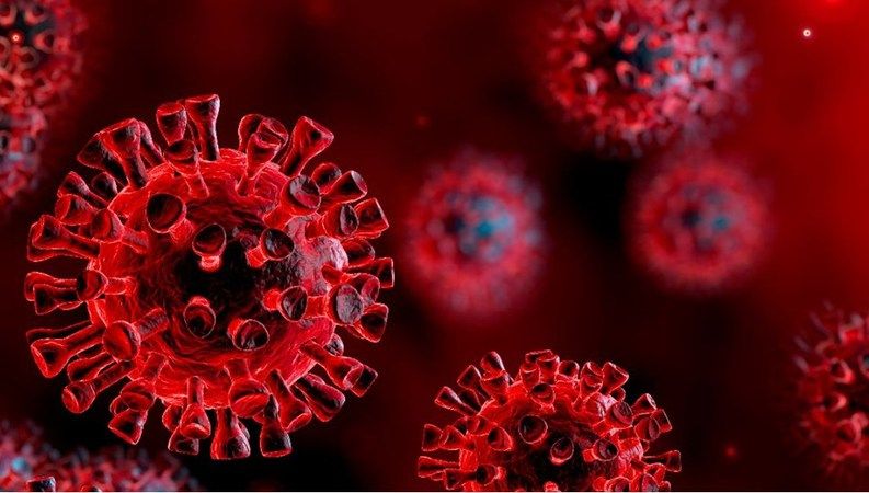 Koronavirüs Hakkında Öyle Bir Şey Ortaya Çıktı Ki, Görenlerin Kanı Dondu! Uzmanlar Kesinlikle Dikkat Edin Diyor! 3
