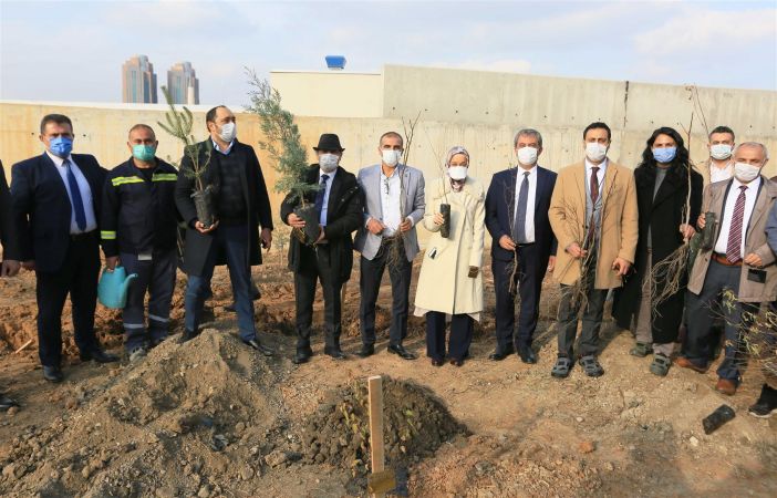 Ankara Su ve Kanalizasyon İdaresi 2 bin fidanı toprakla buluşturuyor 4